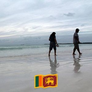 Meet your Posher, Camille